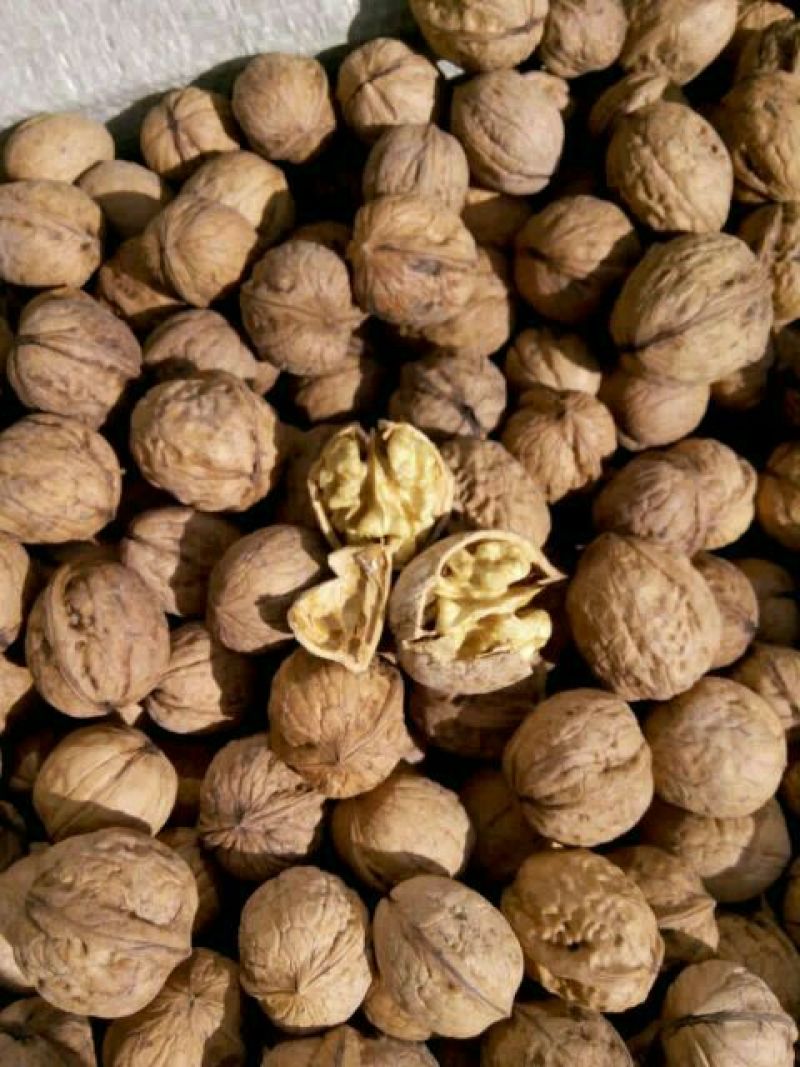 核桃30mm以上去皮干货甘肃庆阳