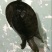 鳖1.5~2斤