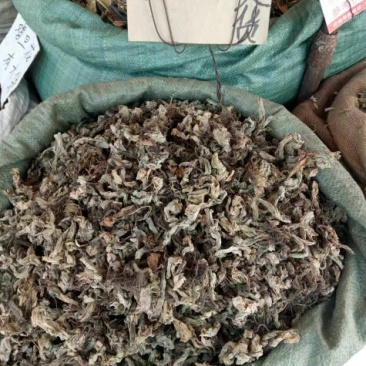 地胆草