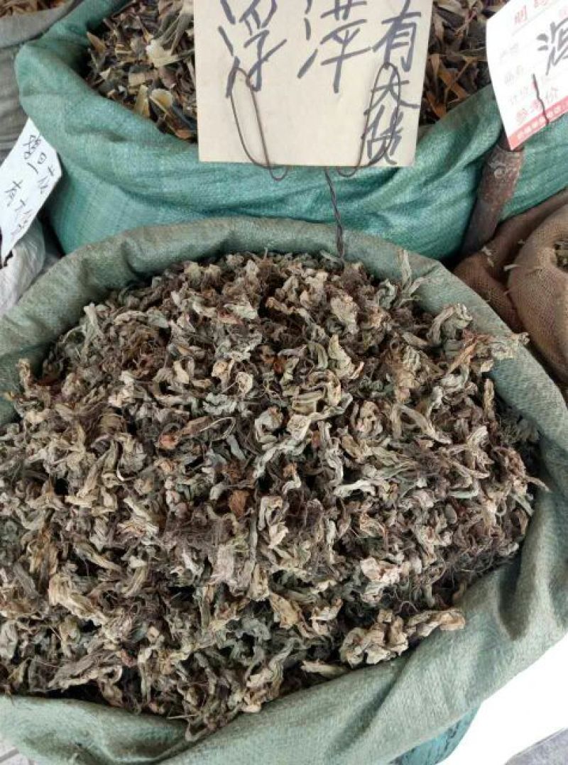 地胆草