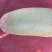 罐萝卜1.5~2斤起