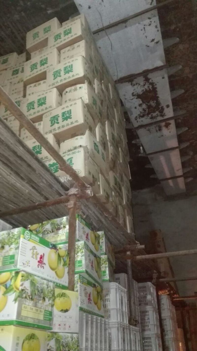 黄金梨550~600g纸箱