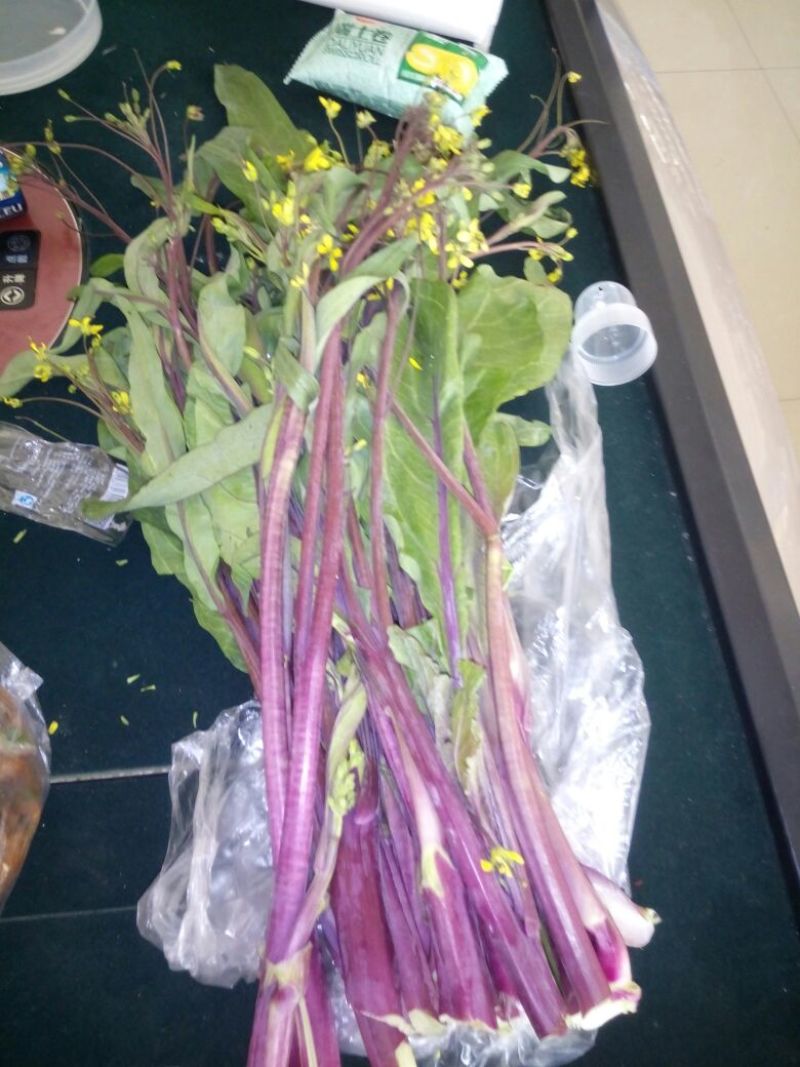 红菜苔10~15厘米