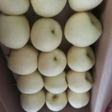 贡梨纸袋250~300g规格齐全大量上市价格优惠