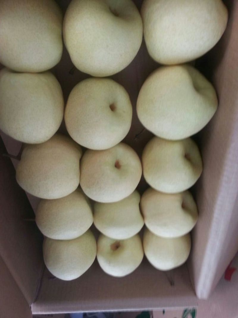 贡梨纸袋250~300g规格齐全大量上市价格优惠