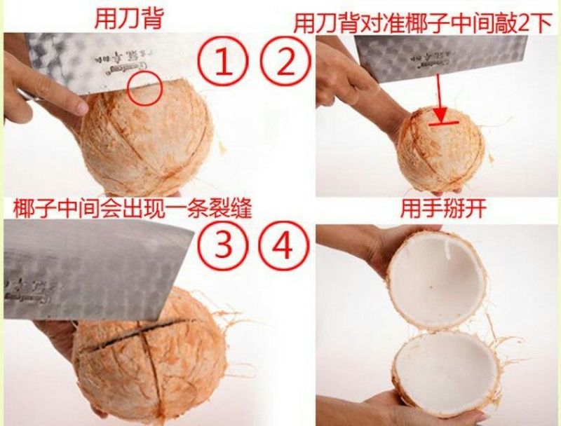 高种椰子2~2.5斤