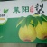 莱阳梨350~400g膜袋