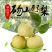 砀山梨250~300g光果