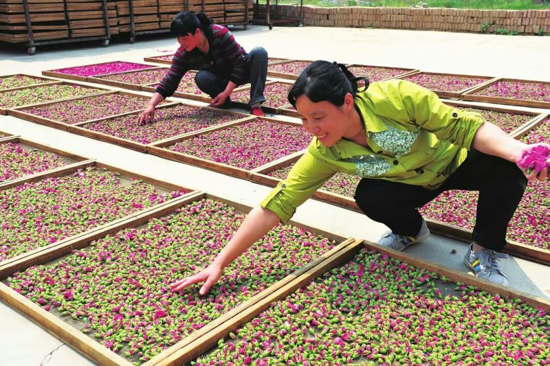 玫瑰花茶