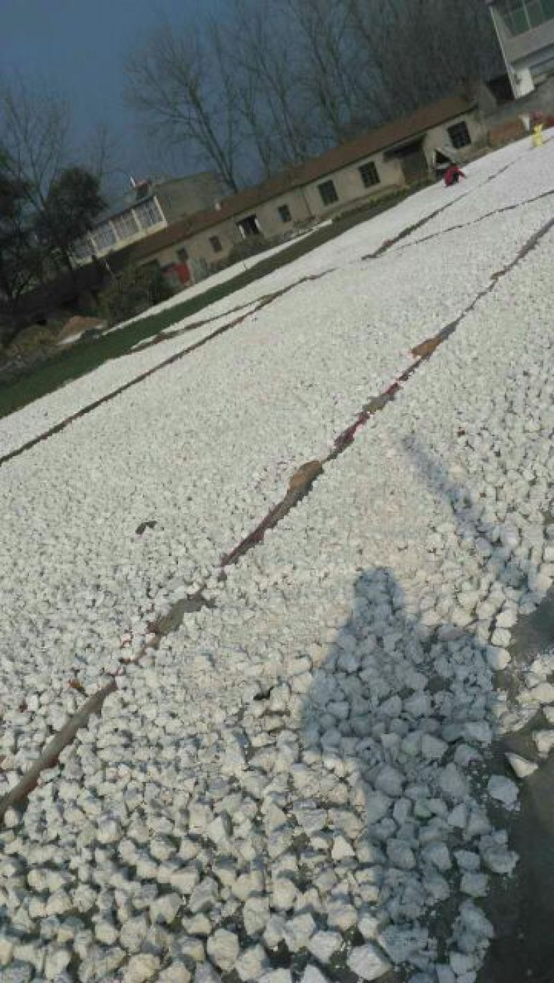 红薯粉面颗粒