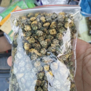 杭州白菊散装