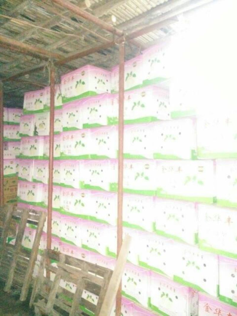 皇冠梨250~300g筐装
