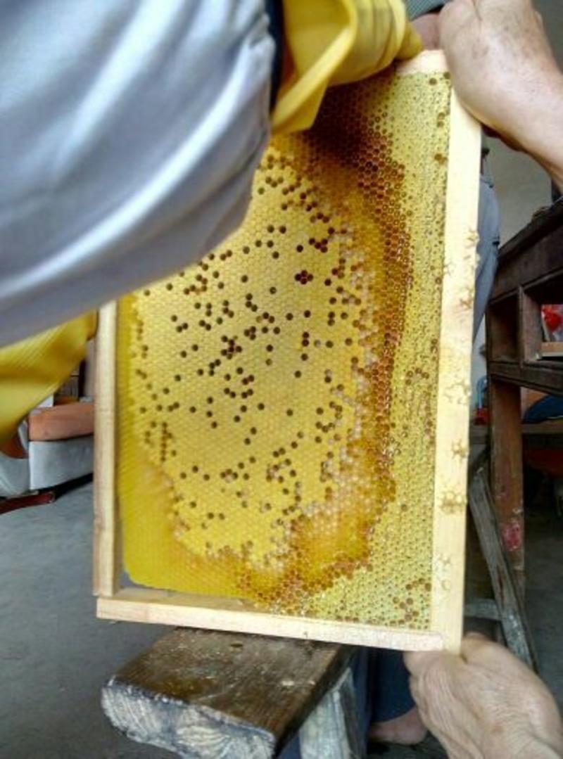蜂蜜5斤以上
