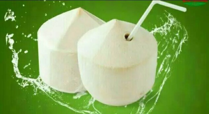高种椰子1.5~2斤