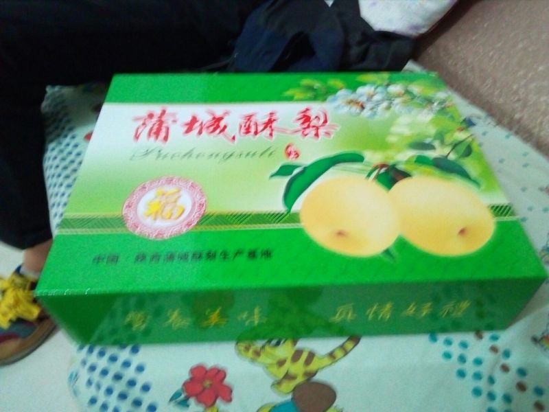 砀山梨250~300g纸箱