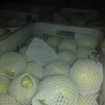 鸭梨300~350g筐装