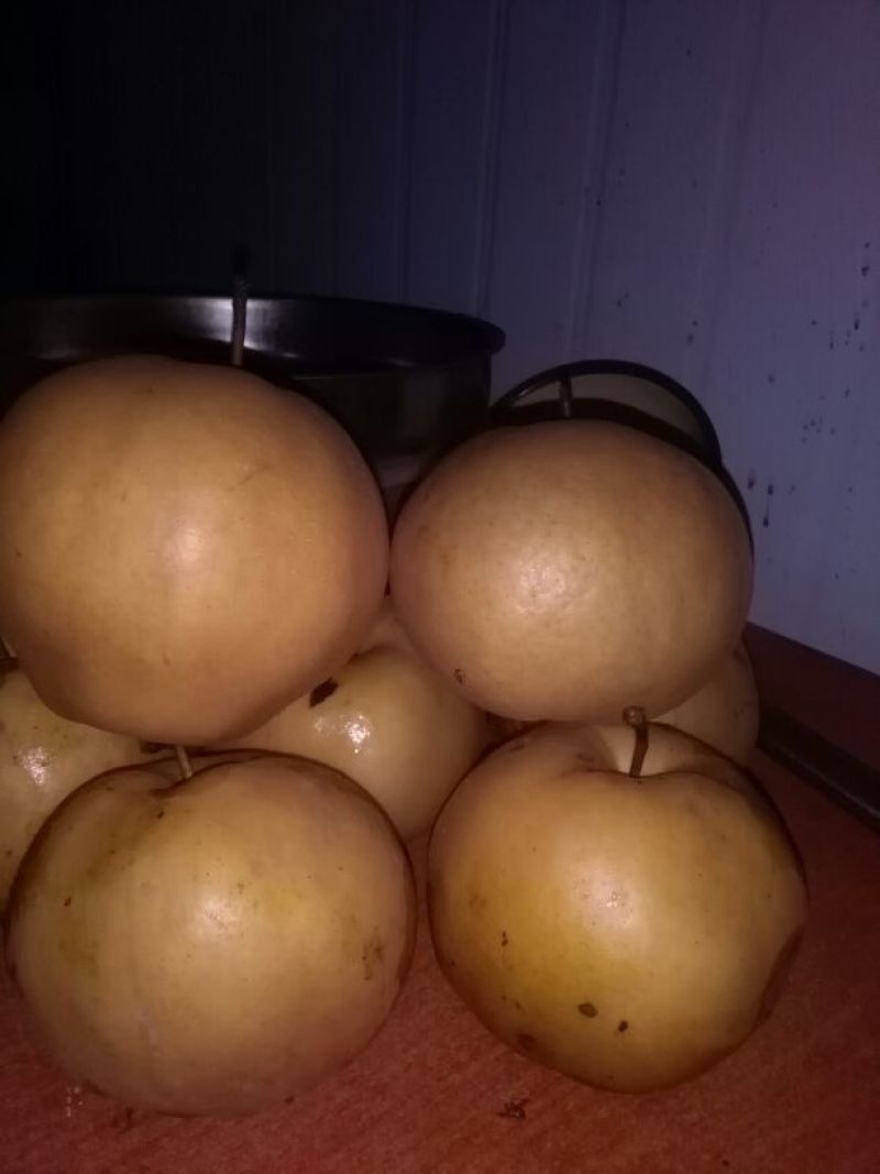 晚秋黄梨纸箱