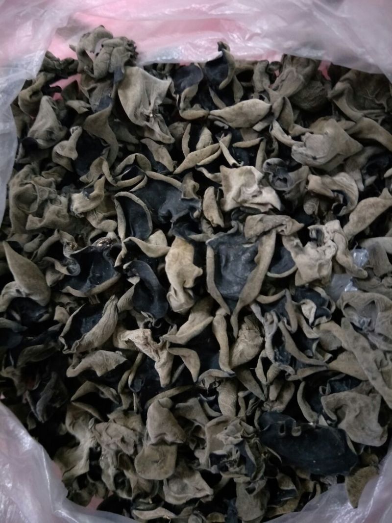 黑山秋耳二级