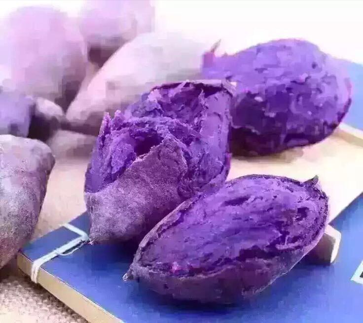 越南紫薯 紫心 4两以上批发_高晓菲供应_一亩