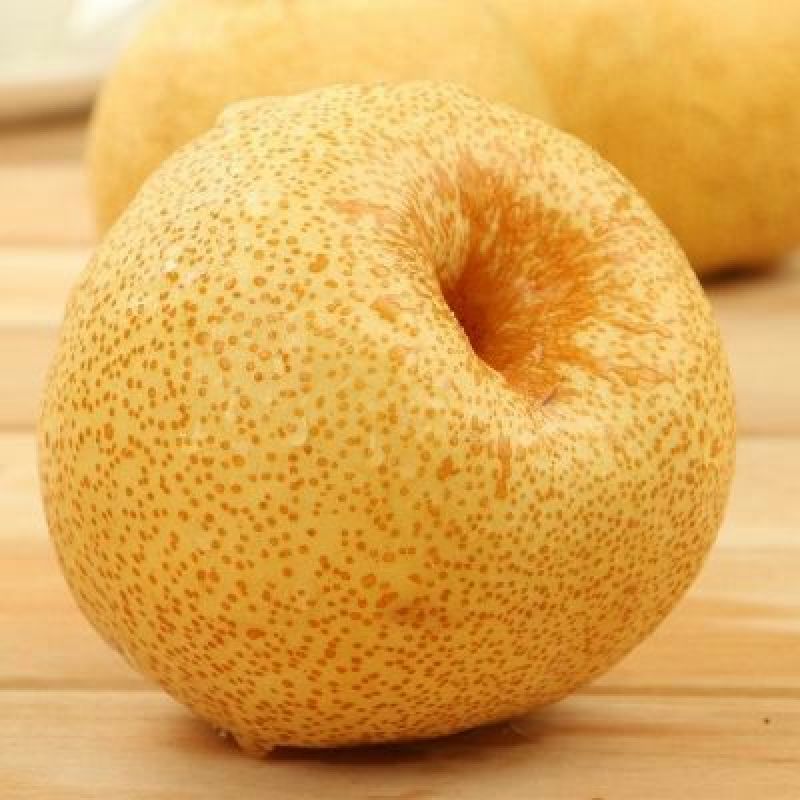 砀山梨450~500g光果