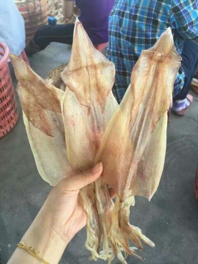 鱿鱼干散装