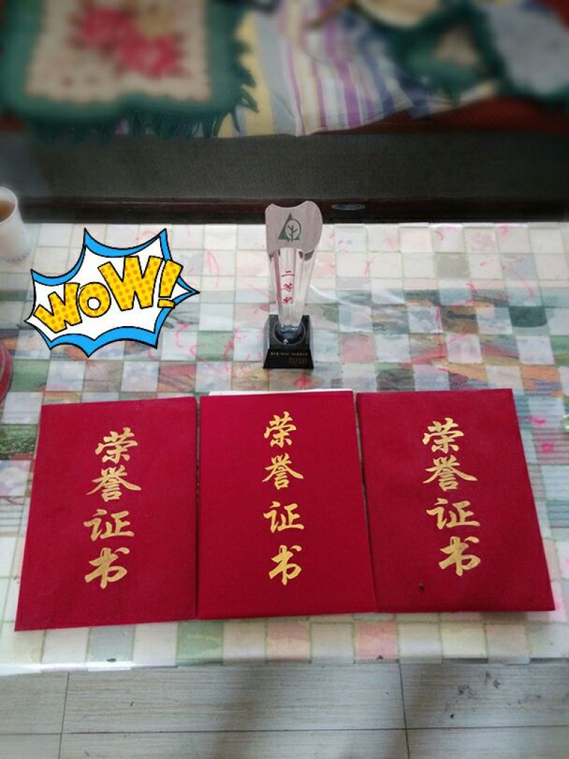 沾化冬枣直口