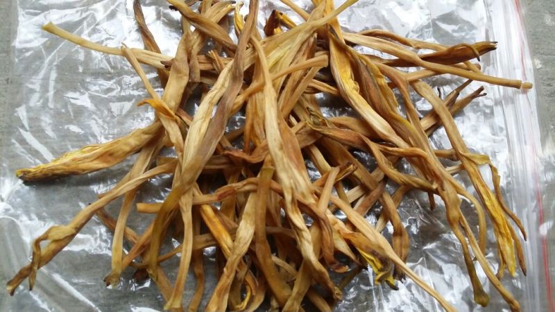 黄花菜