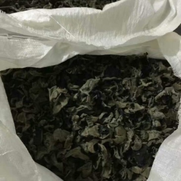 干木耳一级