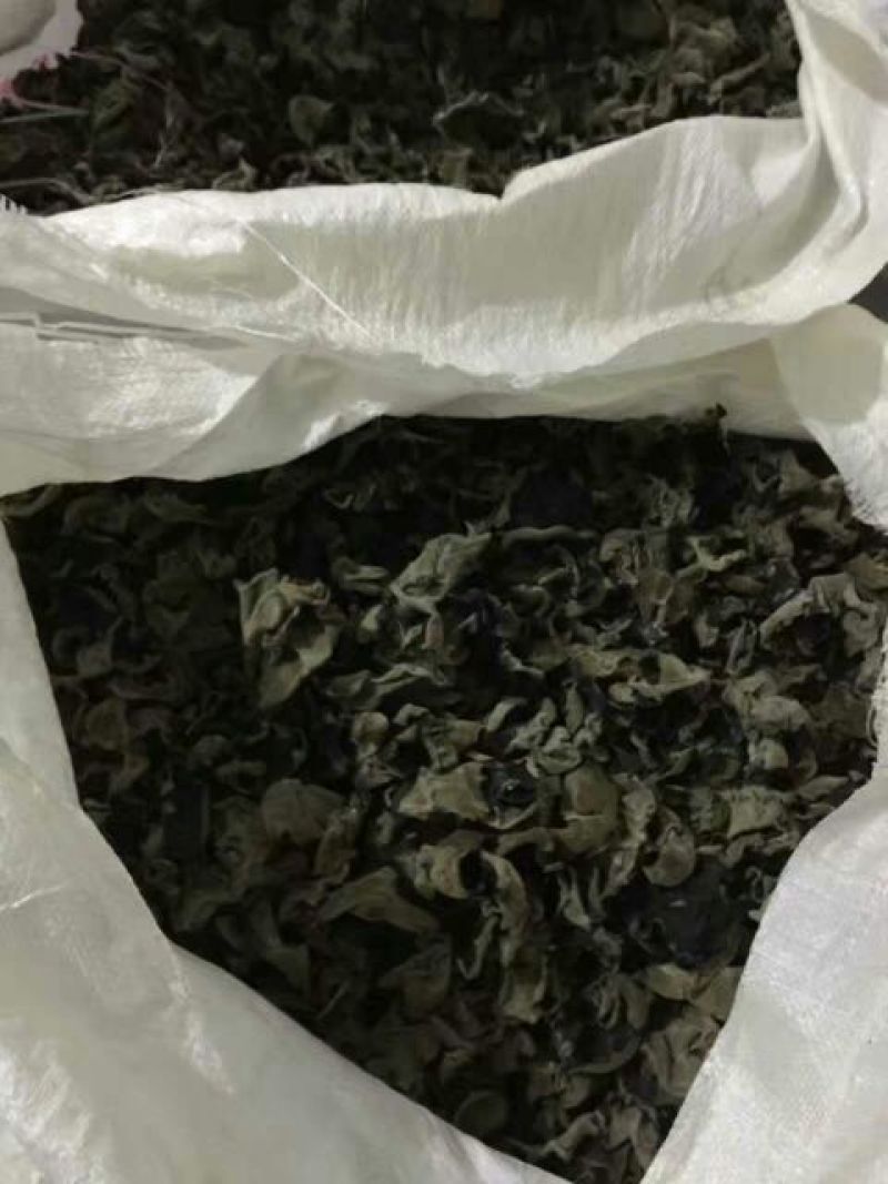 干木耳一级