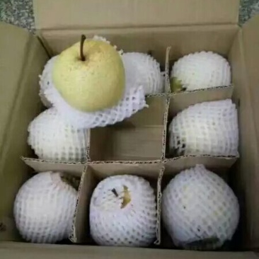 贡梨200~250g纸袋