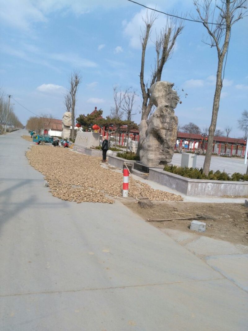 生姜