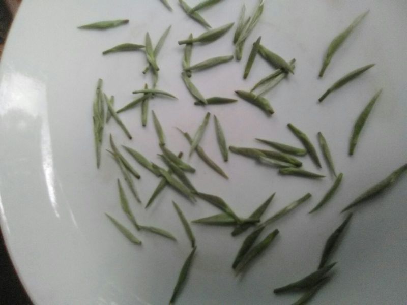 本山茶二级