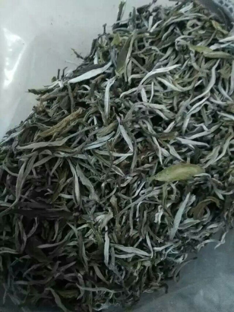 月光白