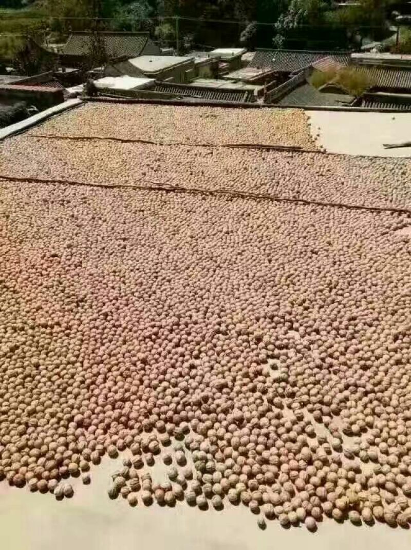 薄皮核桃30mm以上去皮