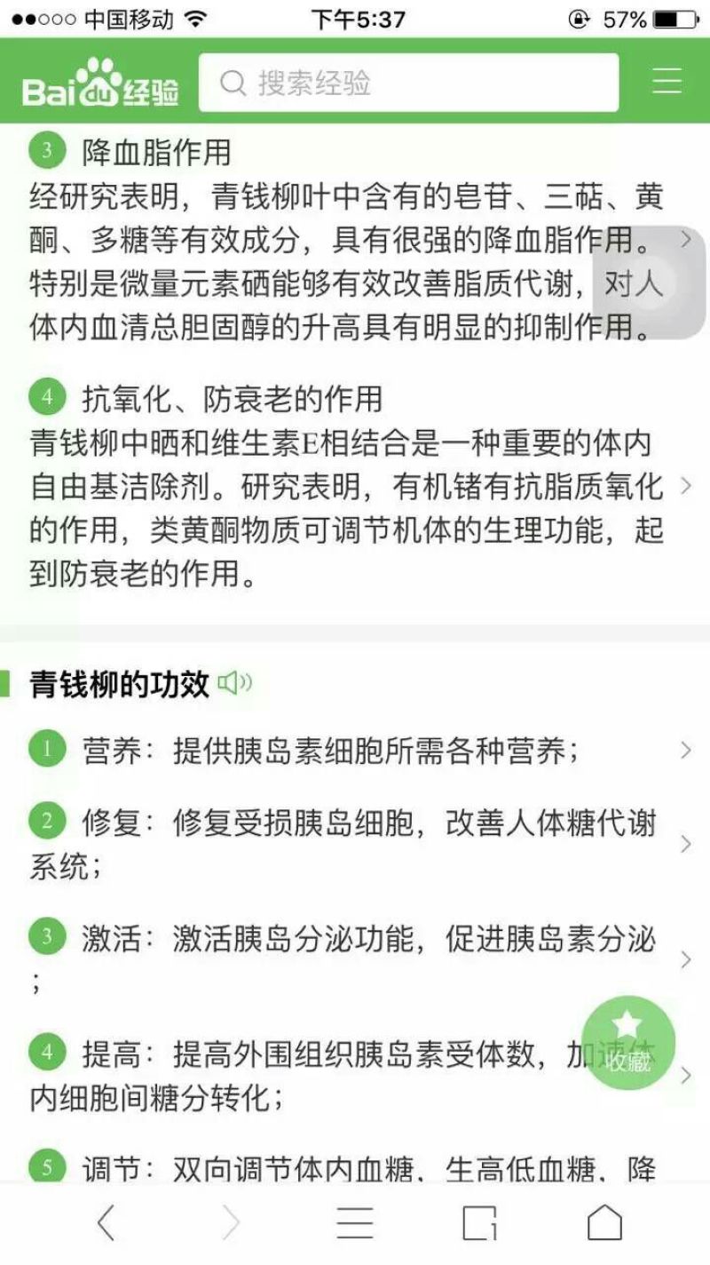 皇菊茶