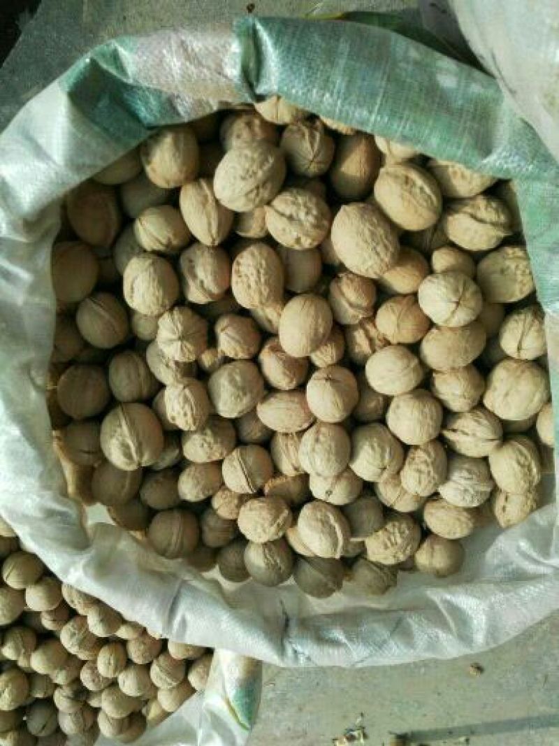 纸皮核桃去皮