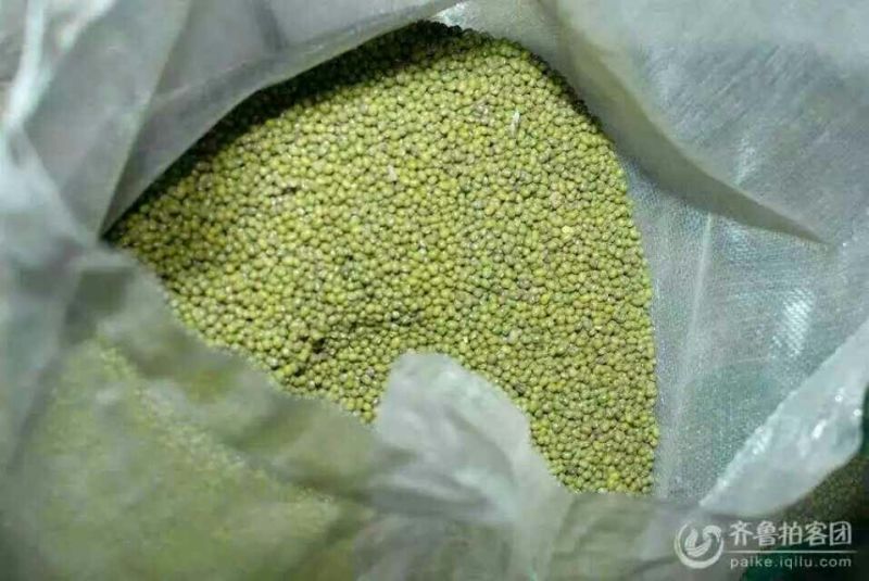 绿豆粉皮包装