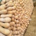 南瓜4~5斤以上长条形