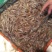 河虾冰鲜虾26~30只/kg