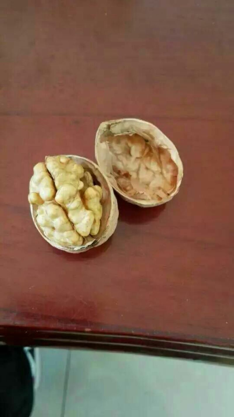 薄皮核桃去皮