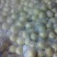长把梨150~200g膜袋