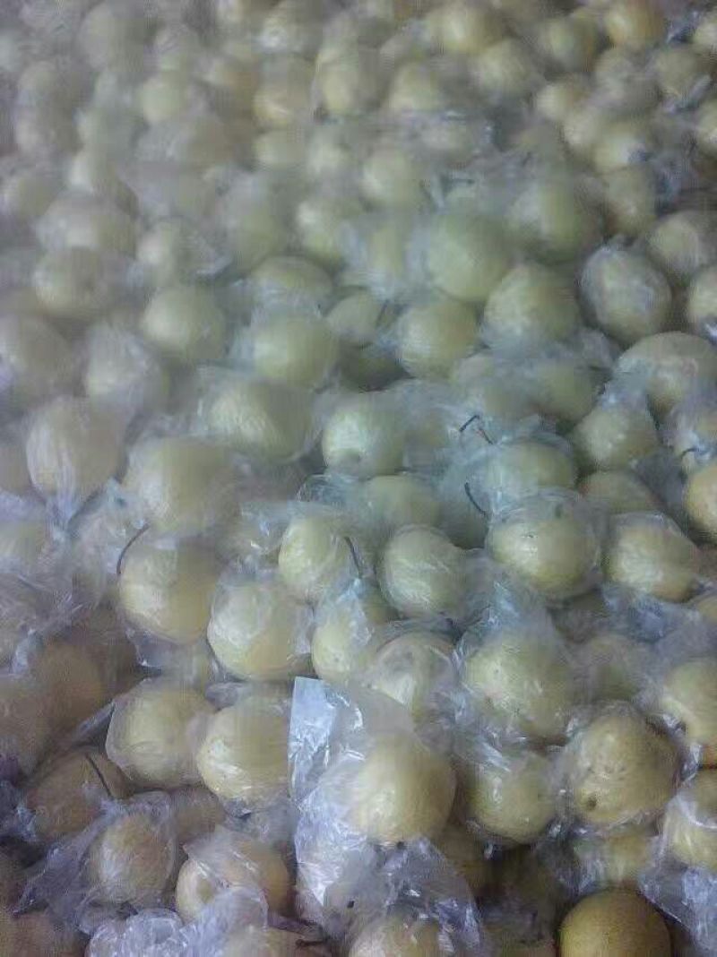 长把梨150~200g膜袋