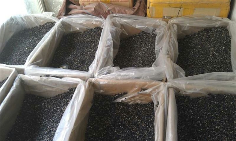 柴达木黑枸杞干货大量供应货源充足保质保量量大价优