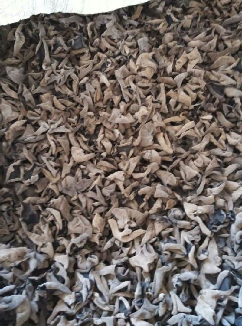 干木耳一级