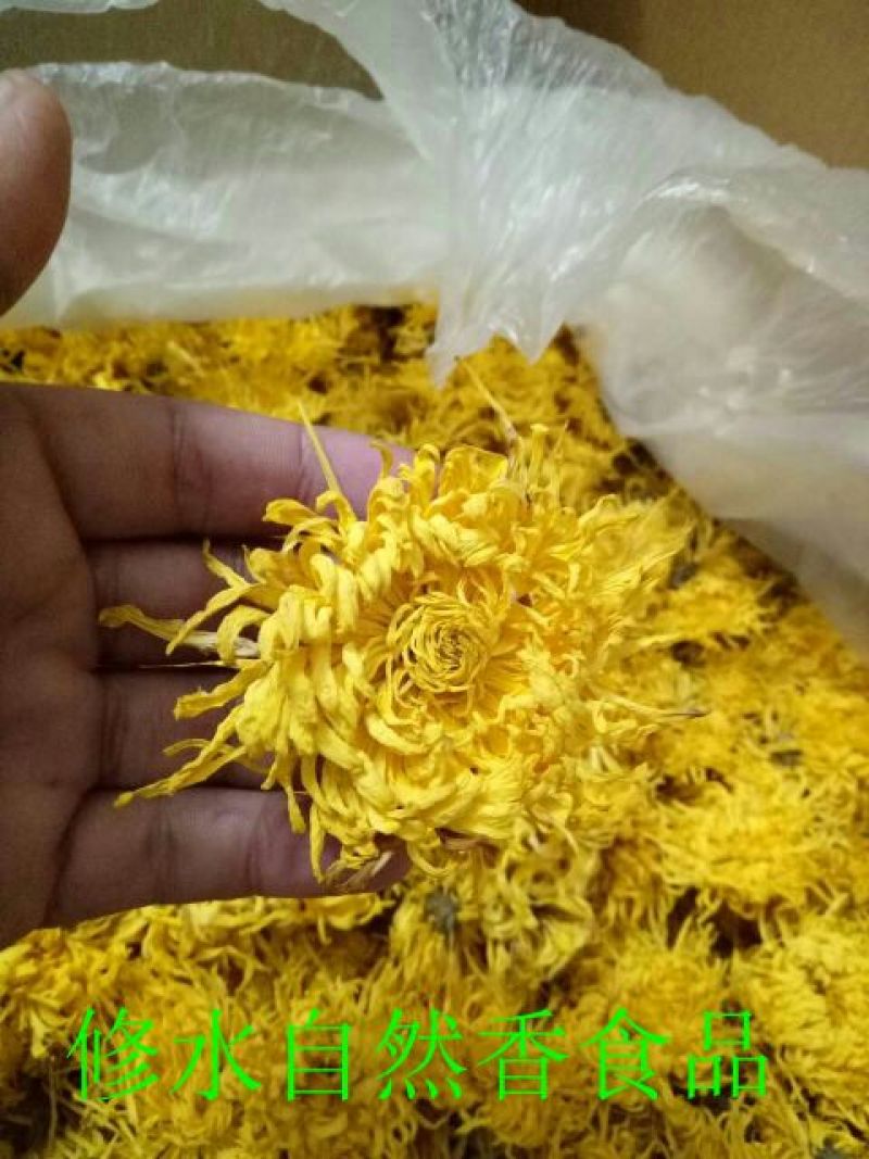 菊花茶