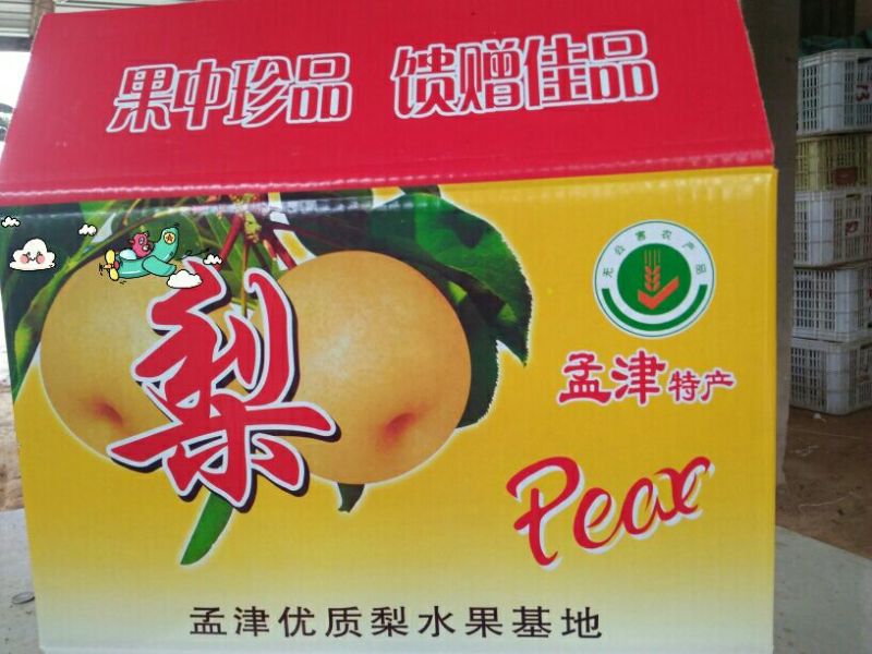 爱宕梨300~350g纸袋