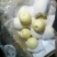 皇冠梨250~300g筐装
