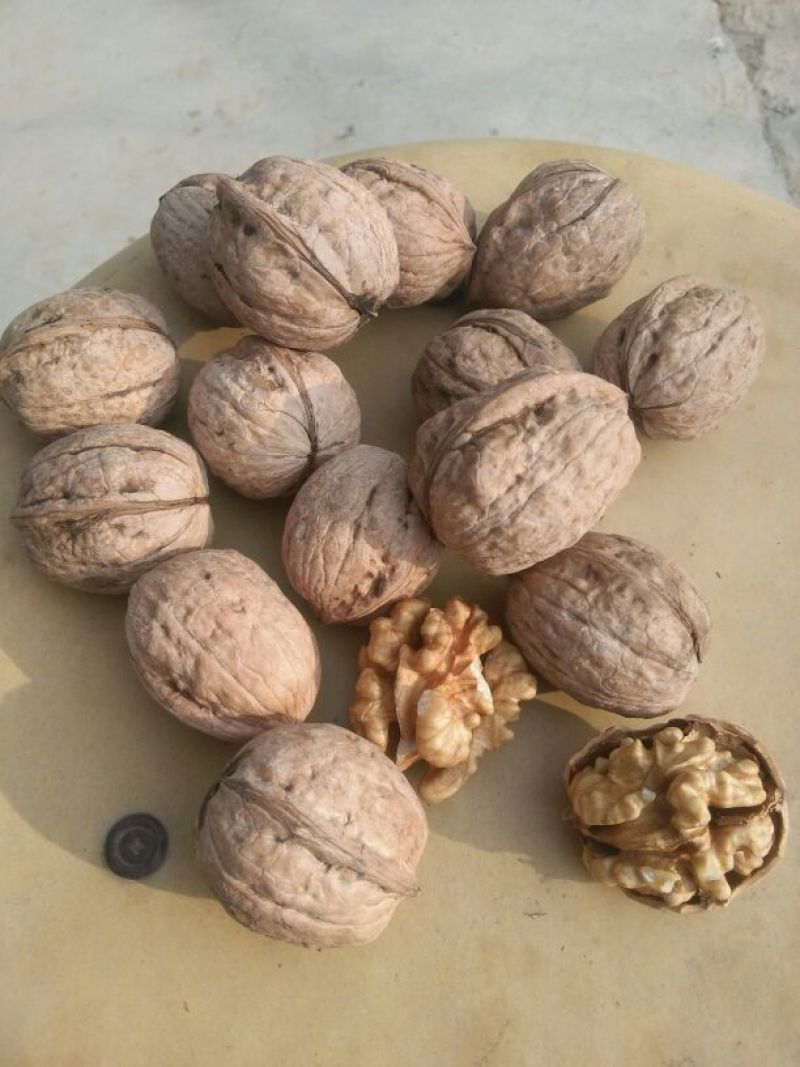 薄皮核桃30mm以上去皮干