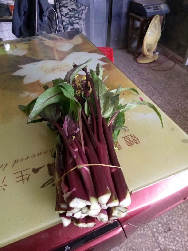 红菜苔20~30厘米