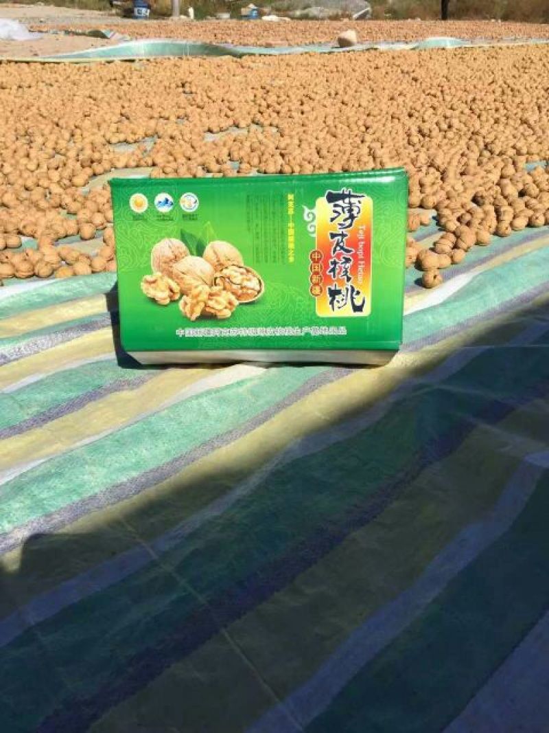 薄皮核桃去皮干